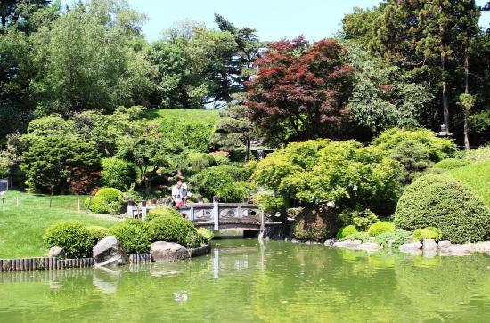 Giardino botanico di Brooklyn
